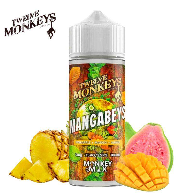 MANGABEYS 100ML SHORT FILL BY TWELVE MONKEYS - Vapeslough