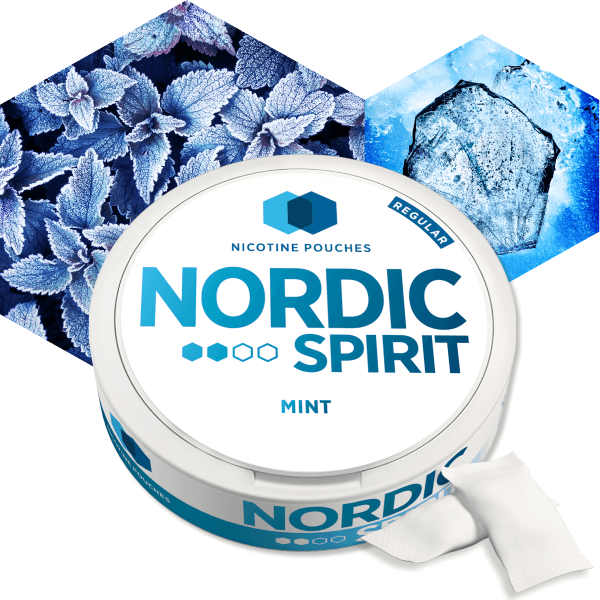 MINT NICOTINE POUCHES BY NORDIC SPIRIT - Vapeslough